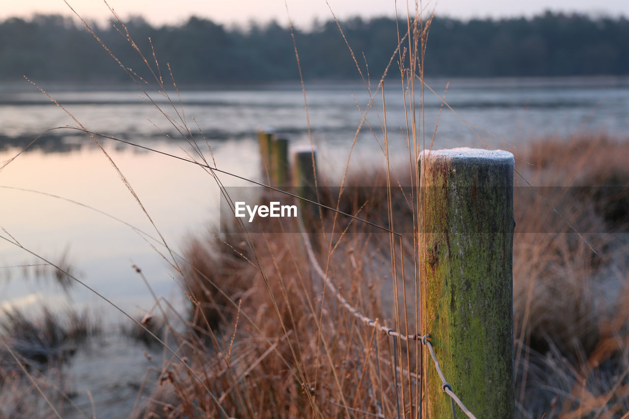 CLOSE-UP OF WOODEN POST ON GRASS