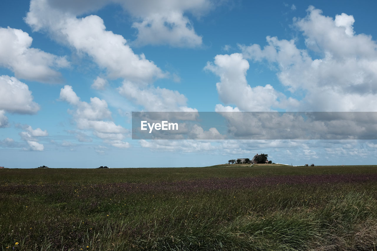 Green field under blue sky and clouds 