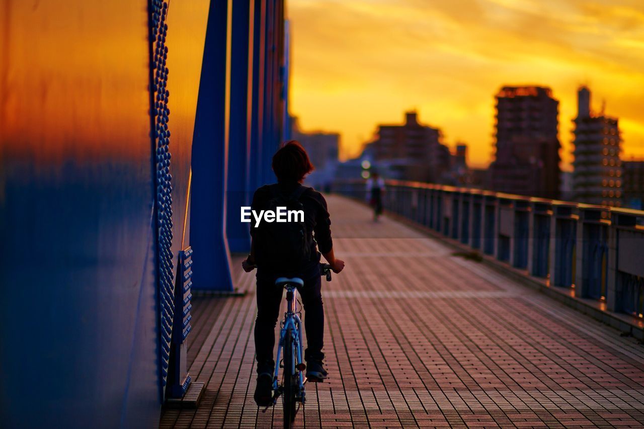 Rear view of man riding bicycle on bridge in city during sunset