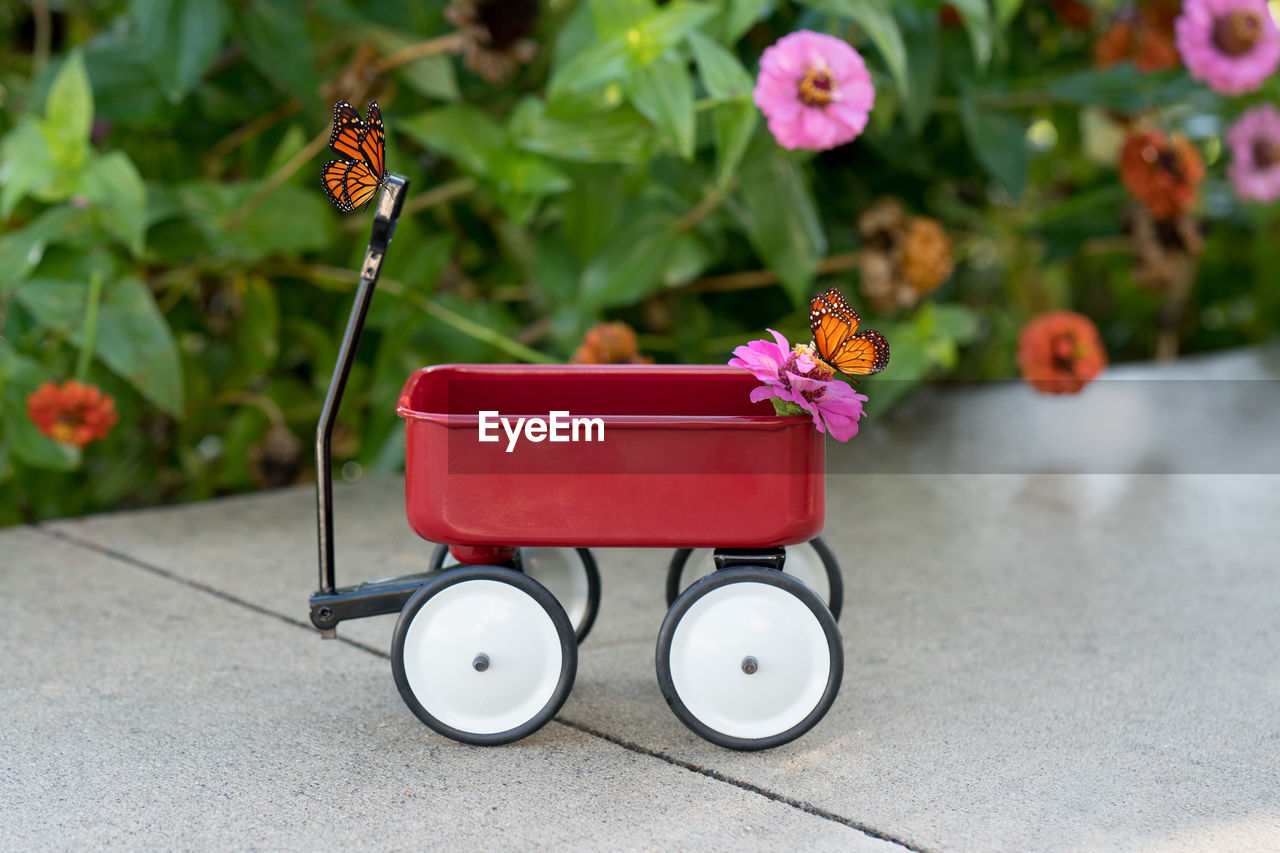 Close-up of butterflies and flower on toy cart