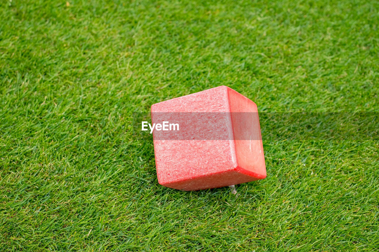 Red cube on the grass background