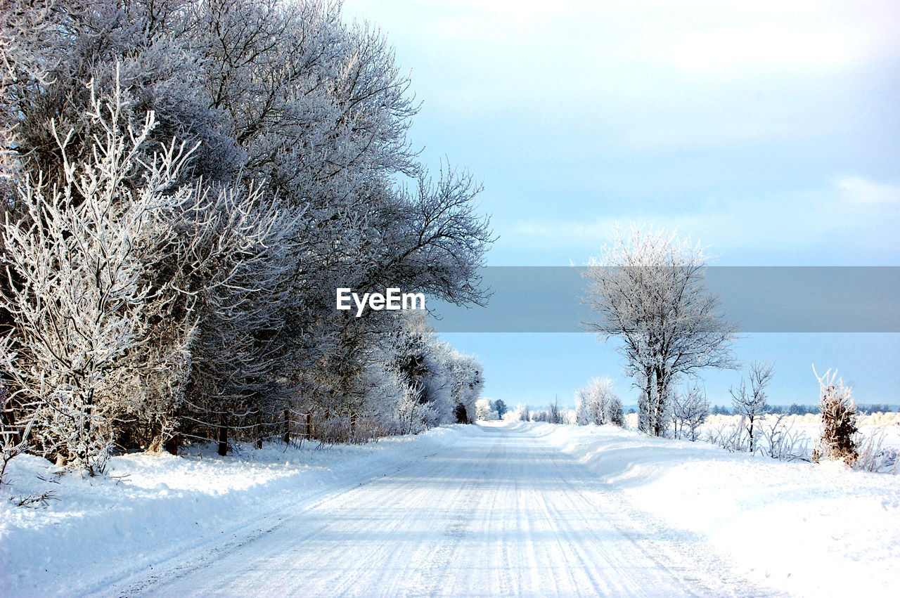 Winter landscape in southern denmark.