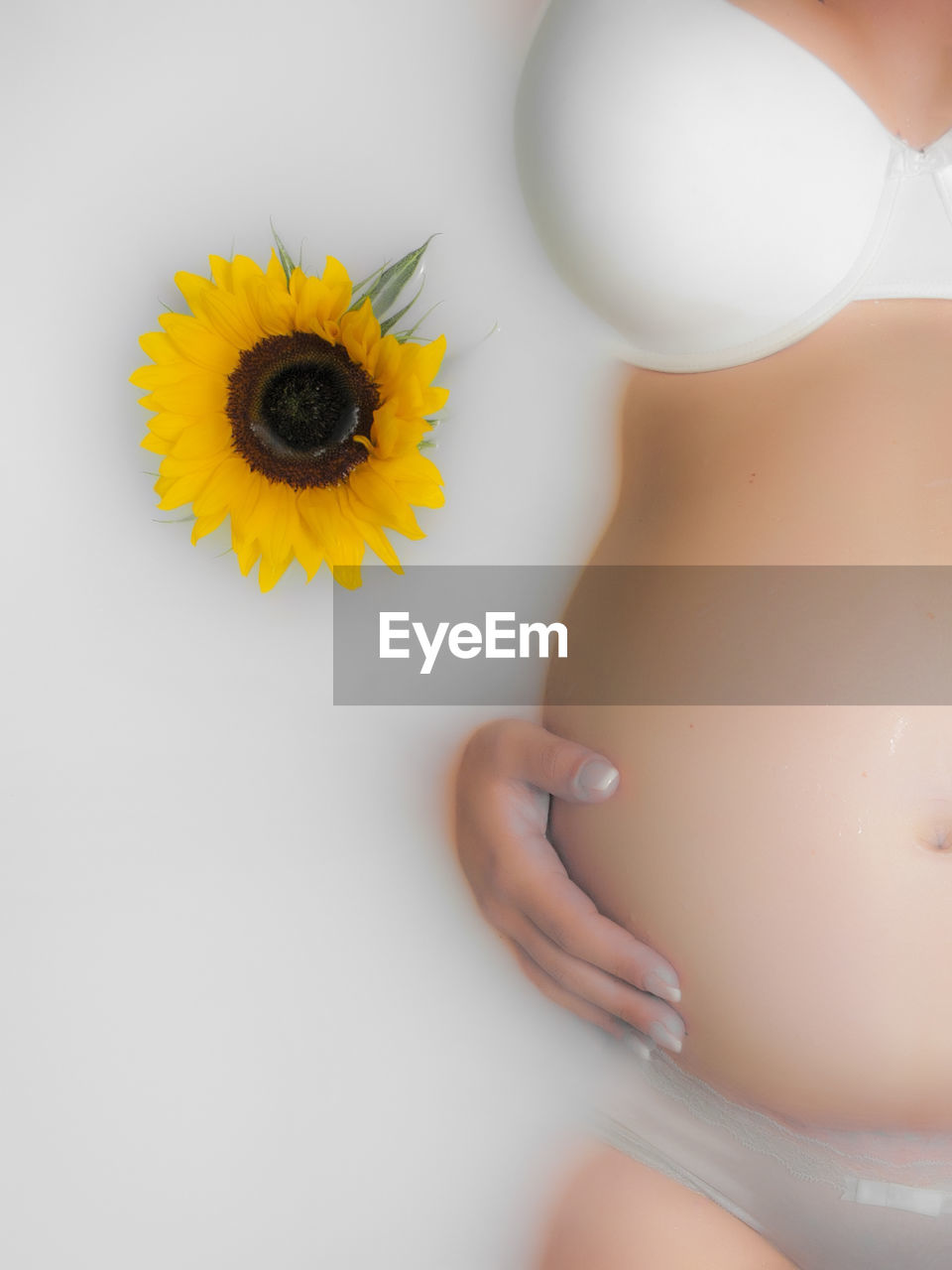 Midsection of pregnant woman with hand on abdomen by sunflower