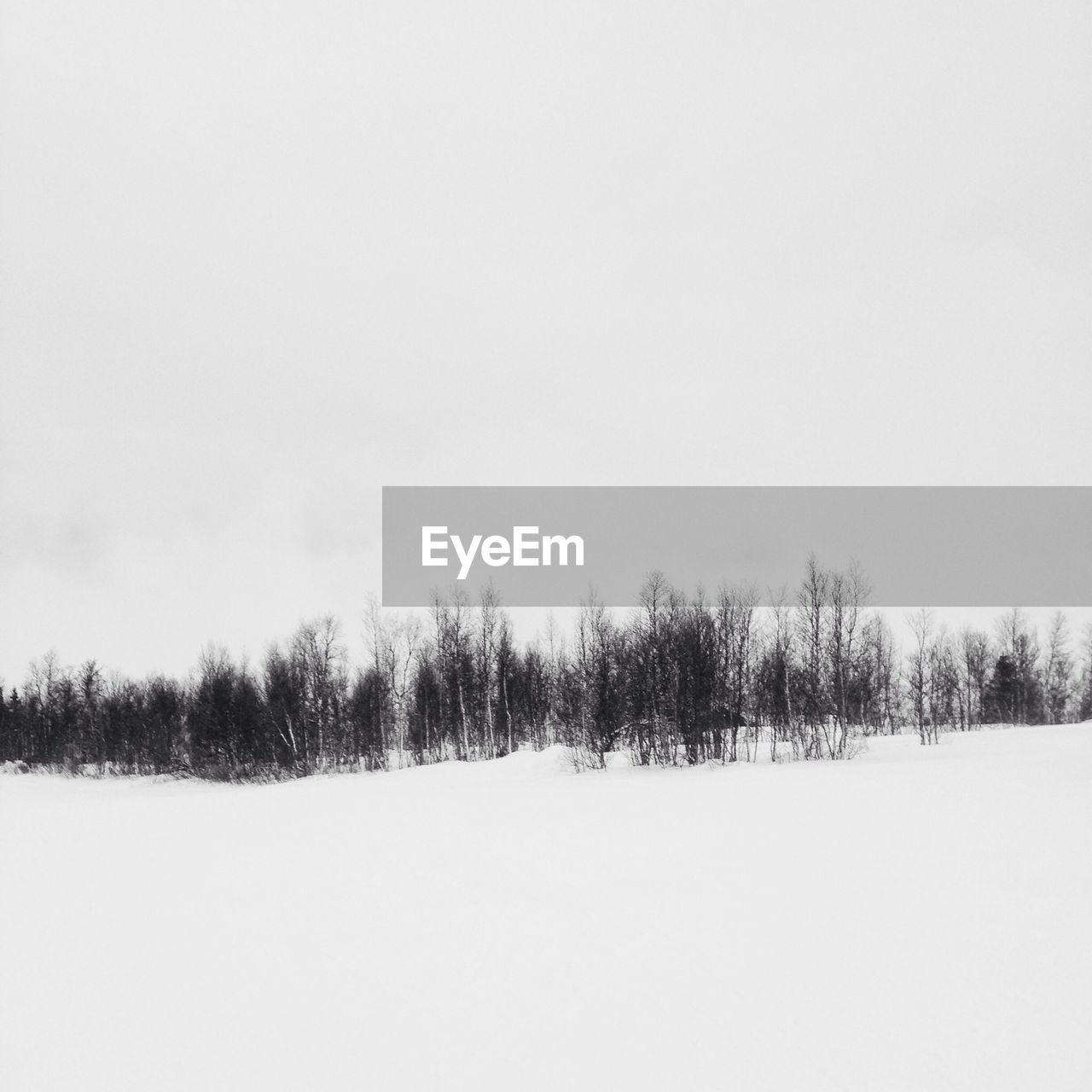 Trees on snow covered field against clear sky