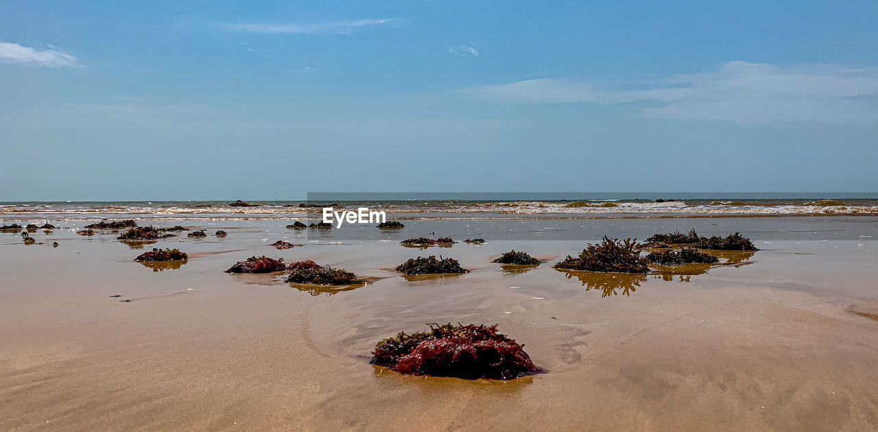 VIEW OF BEACH AGAINST SKY