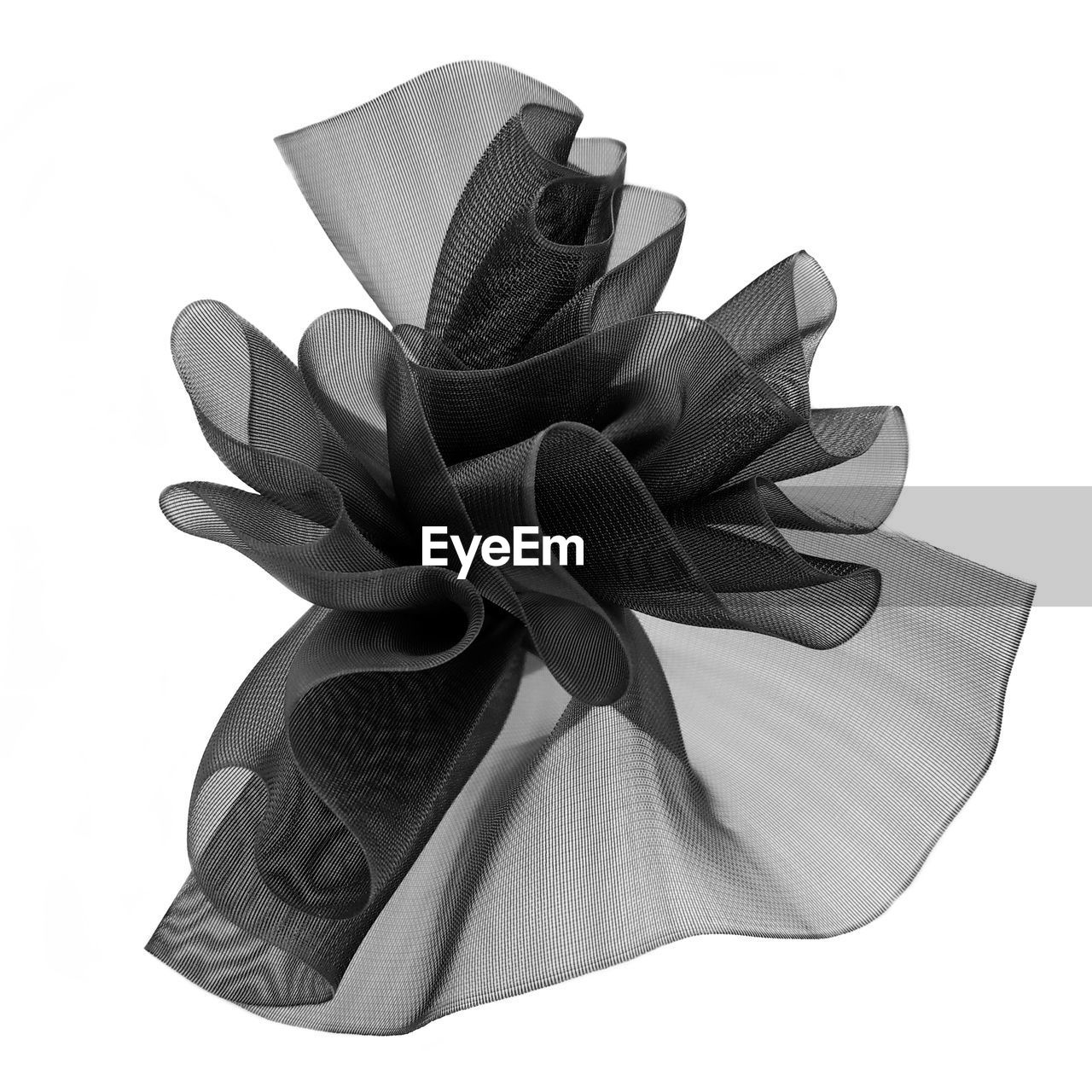 Close-up of black bow against white background