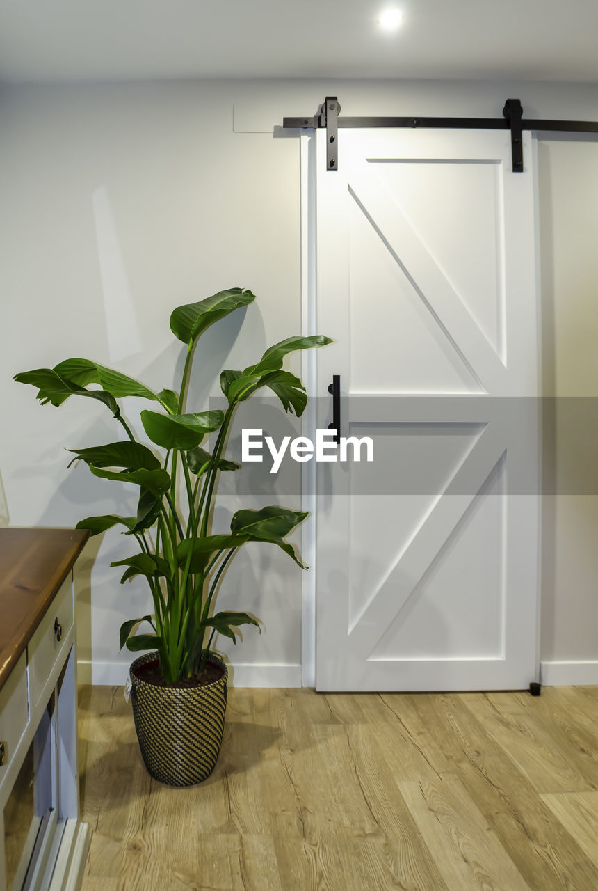 POTTED PLANT ON WOODEN FLOOR AT HOME