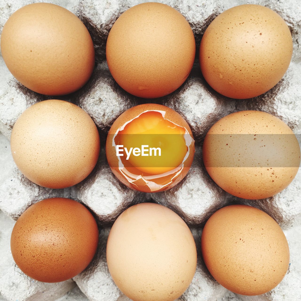 High angle view of eggs in container