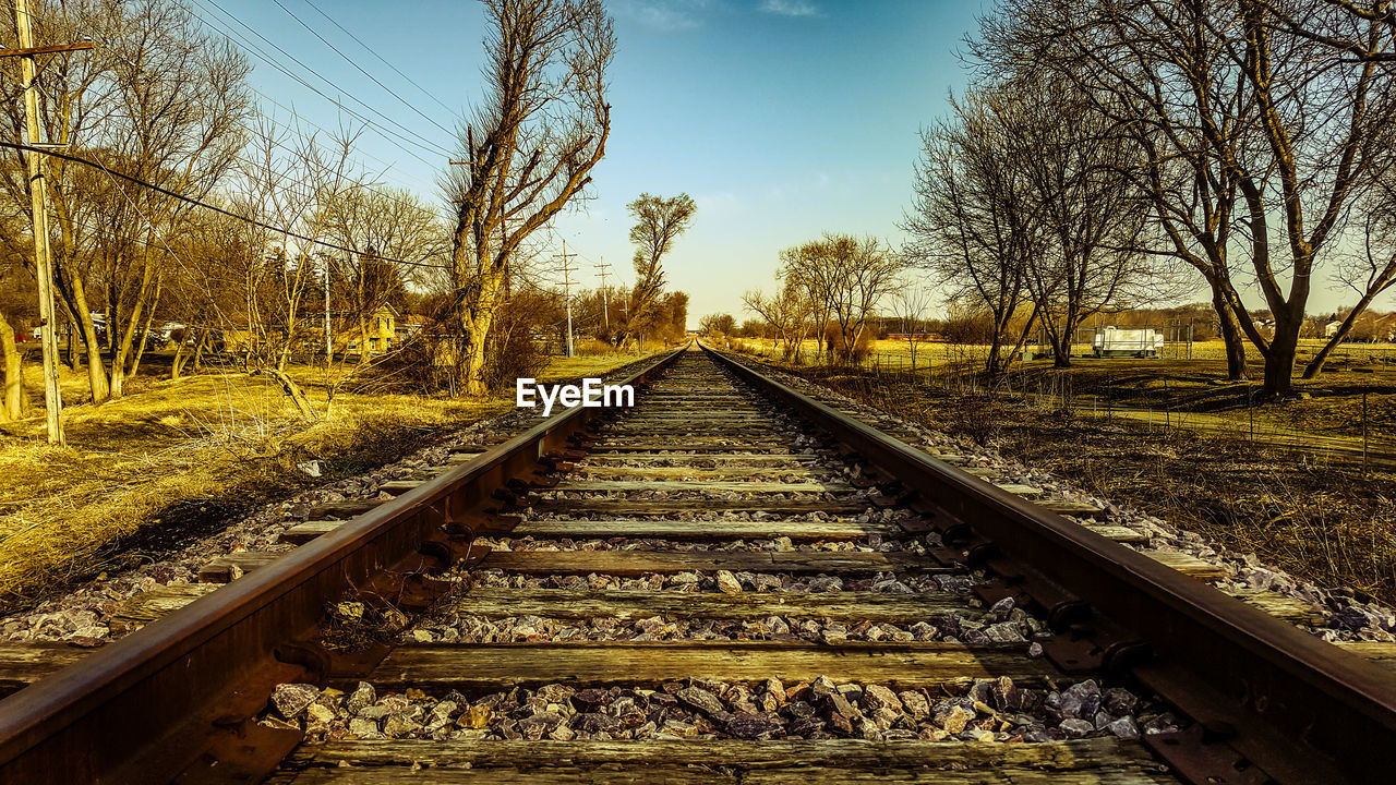 Railroad track along trees