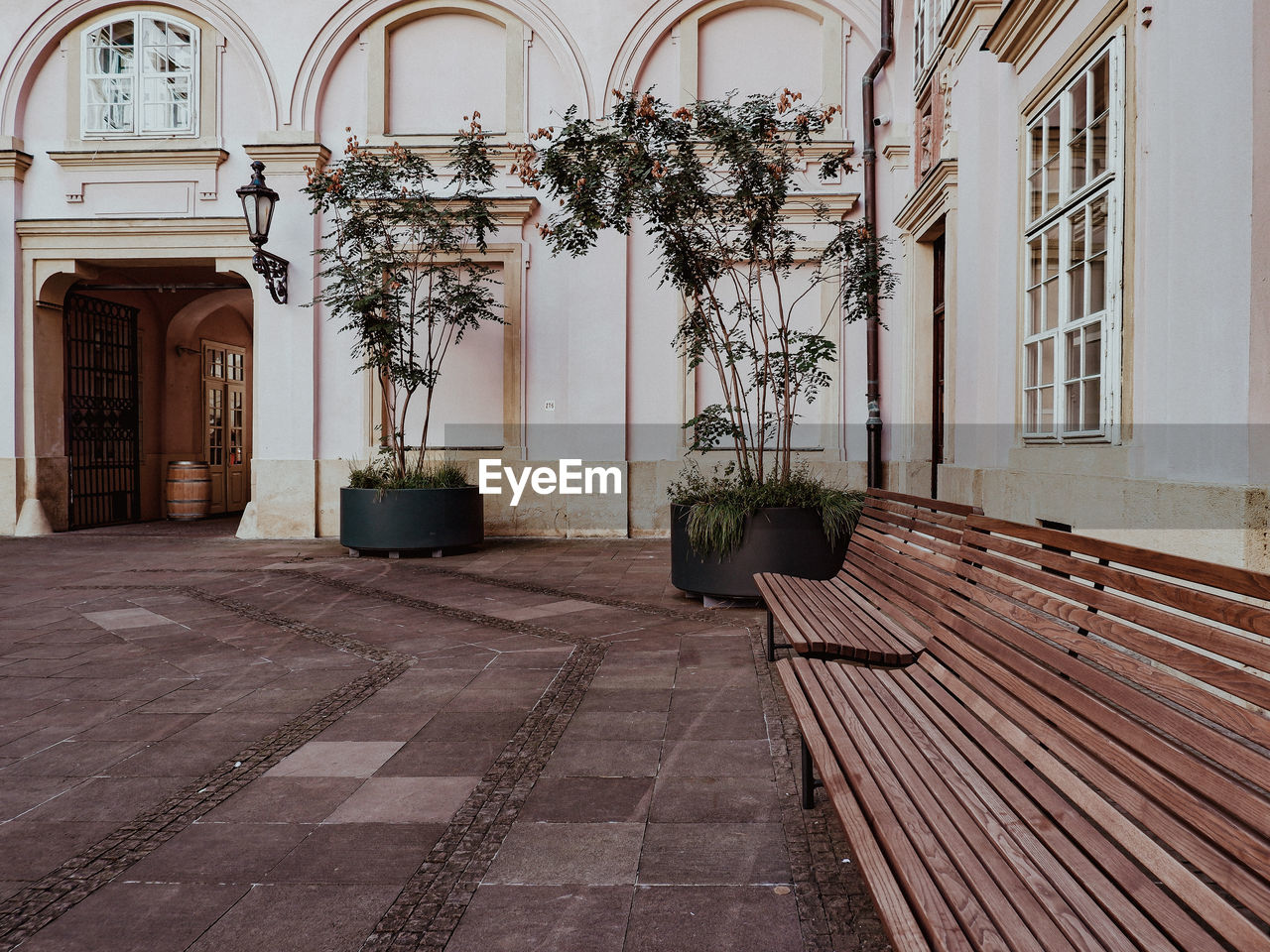 Benches in the square 