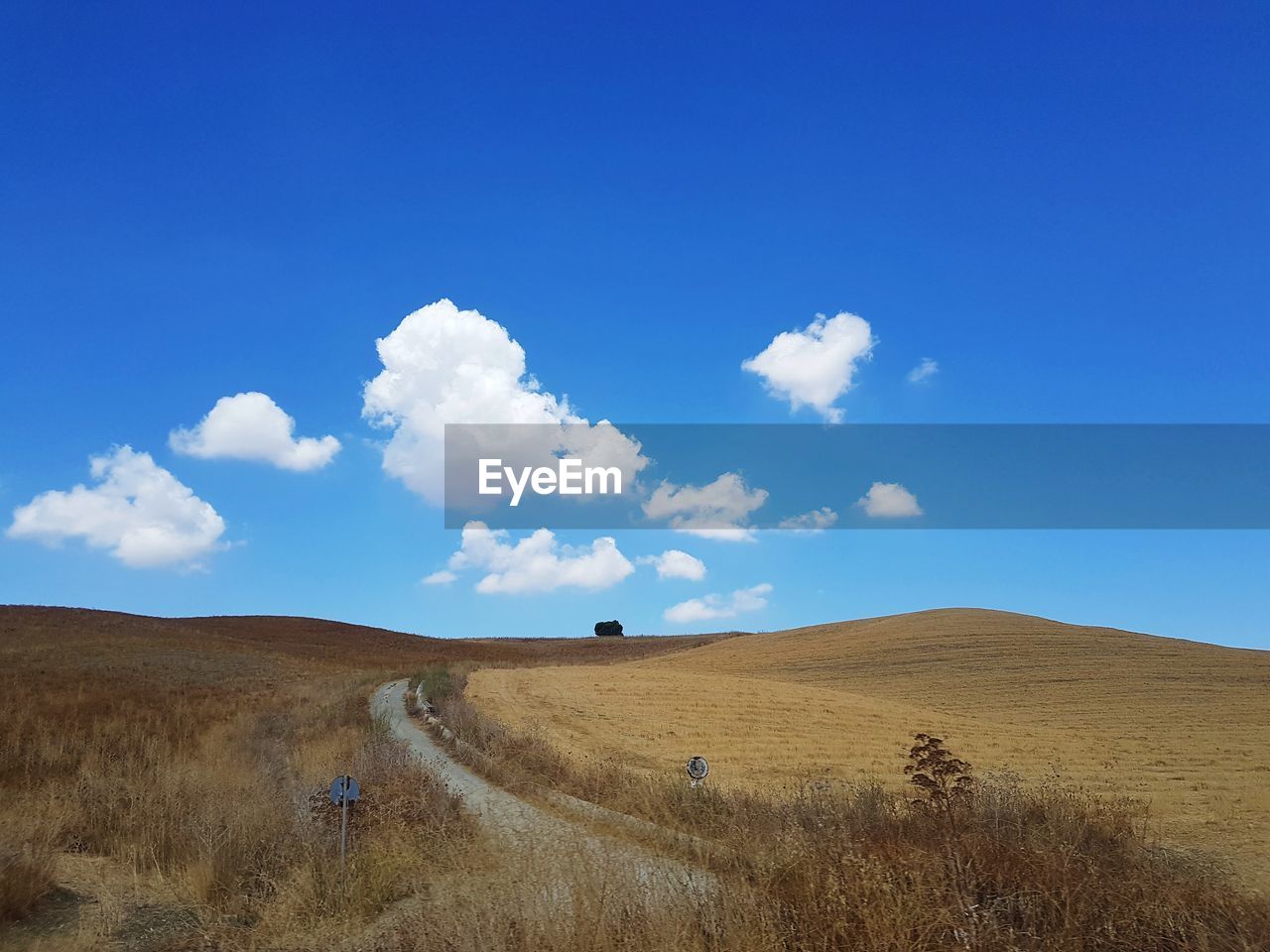 FIELD AGAINST BLUE SKY