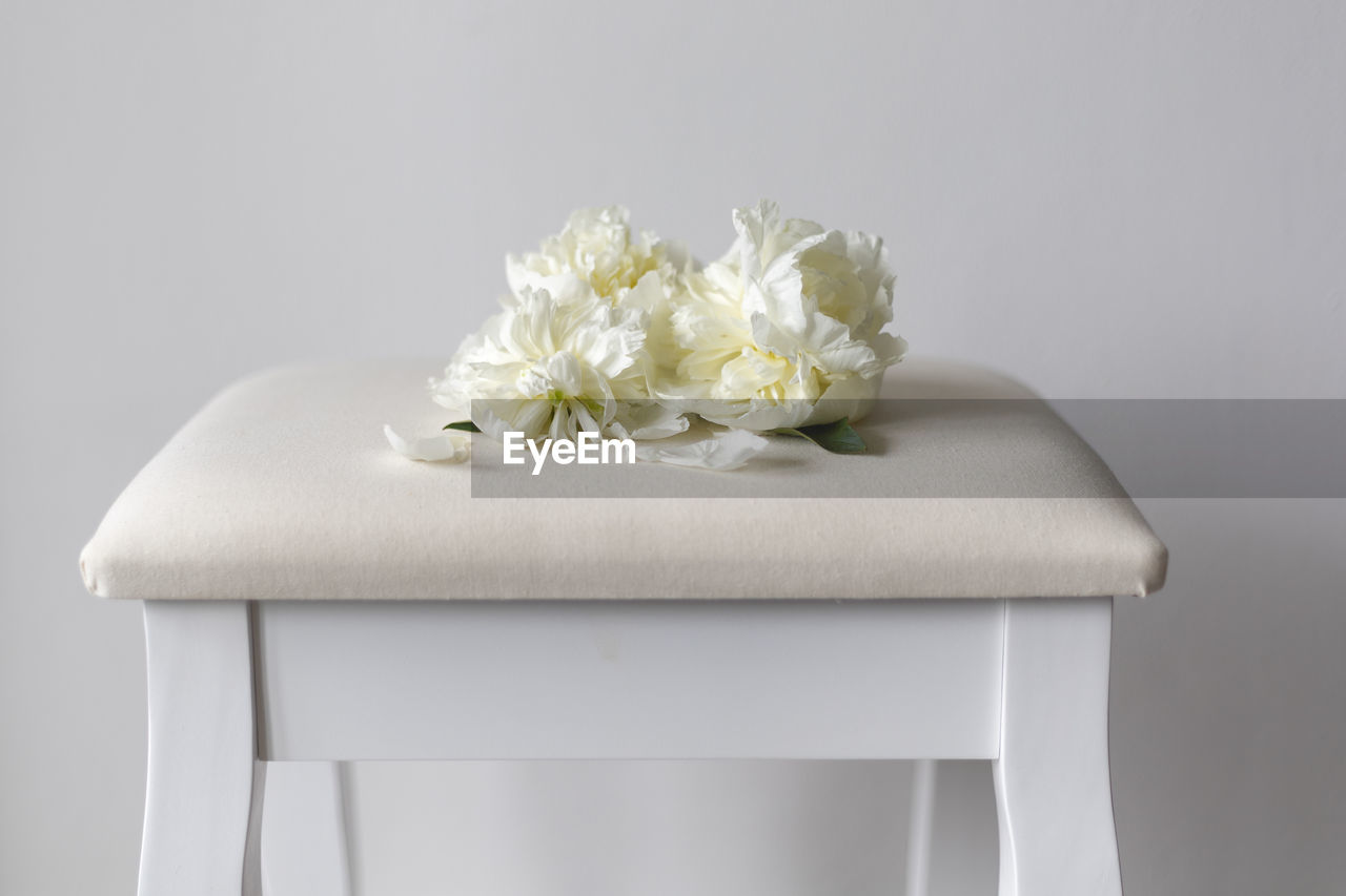 Close-up of white flowers on chair