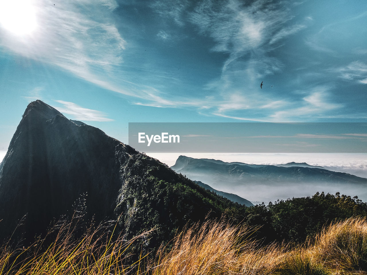 Panoramic view of landscape against sky