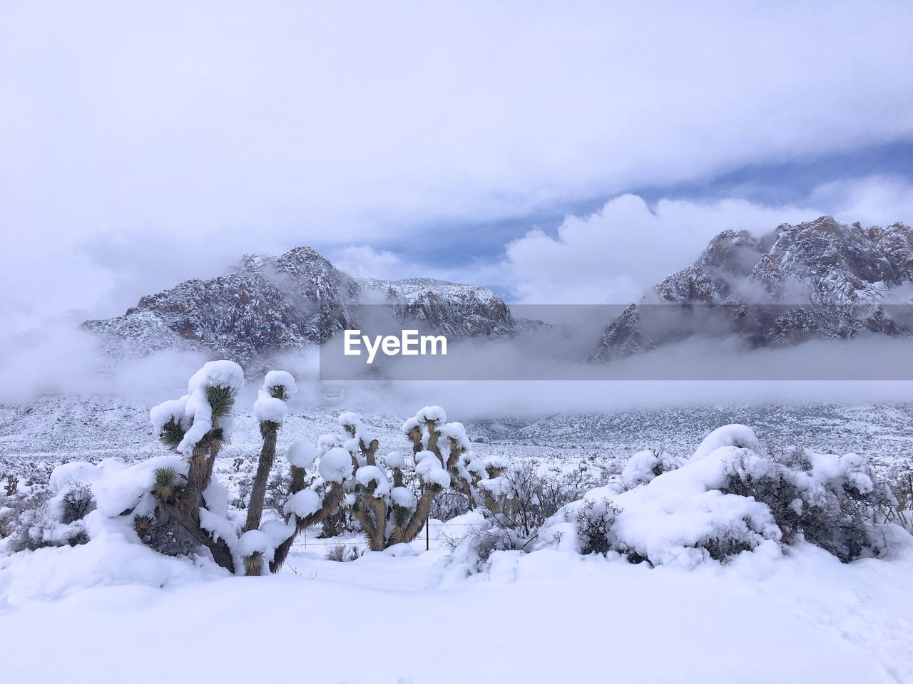 Snow covered land and mountains against sky