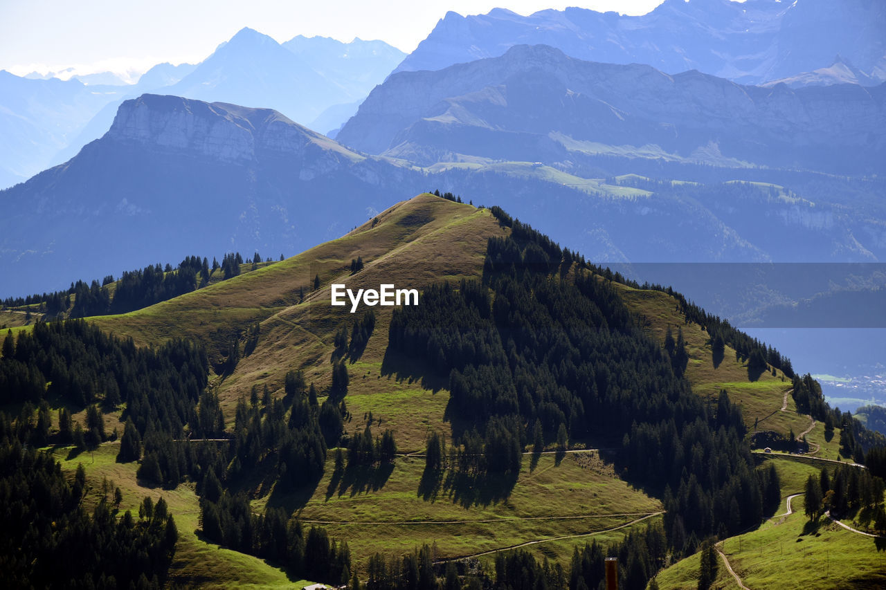 Panoramic view of trees and mountains against sky