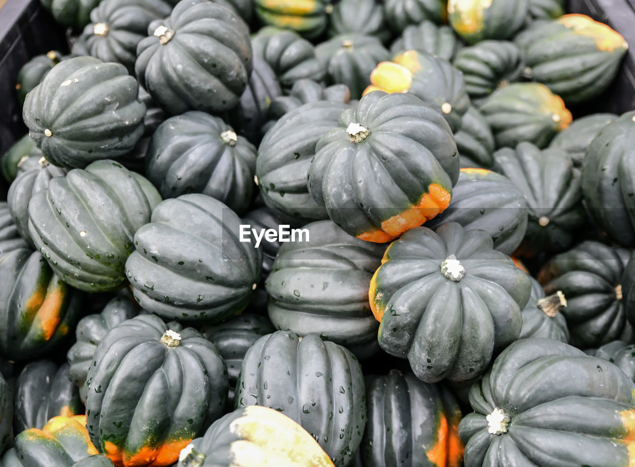 Fresh produce at the farmers market