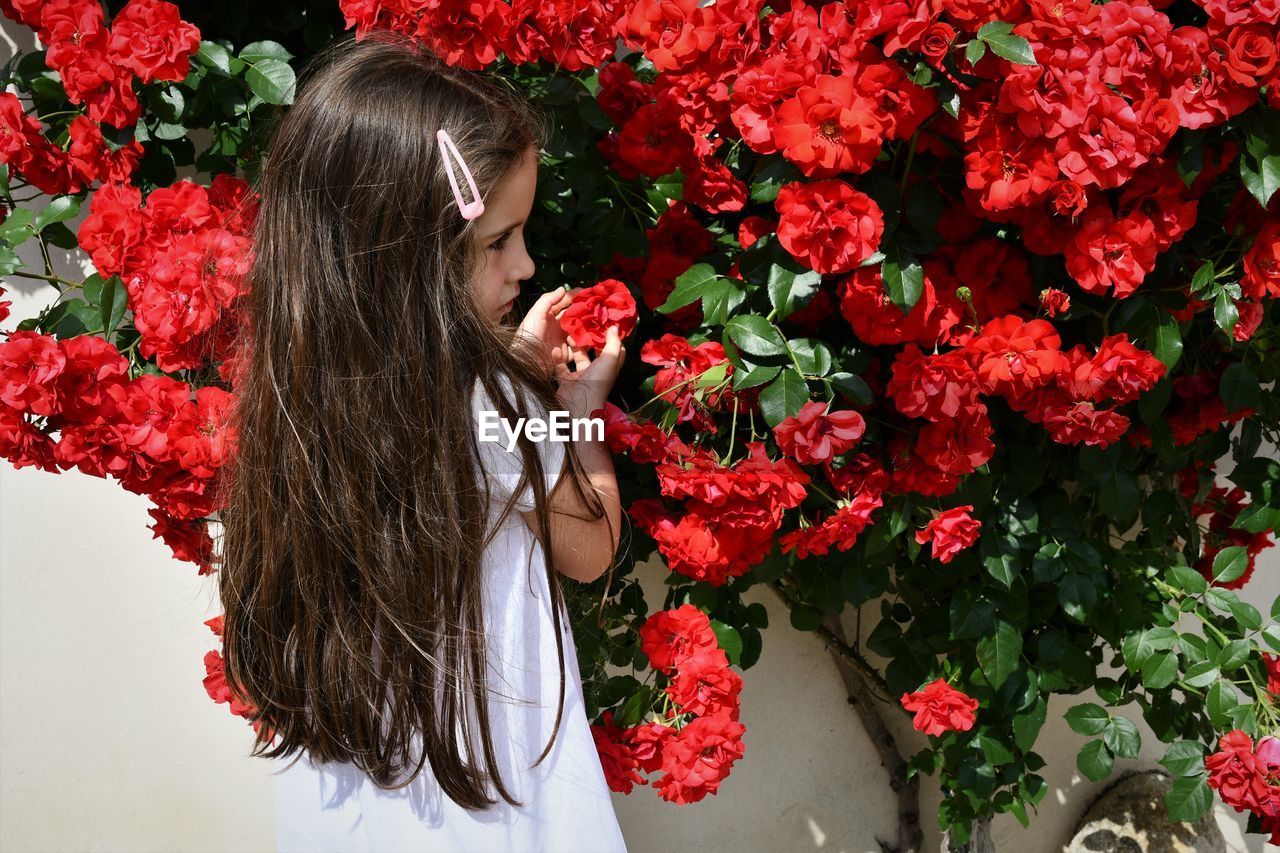 Rear view of girl standing against flowers growing on plant