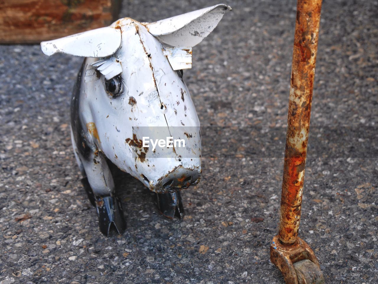 Rusty pig figurine