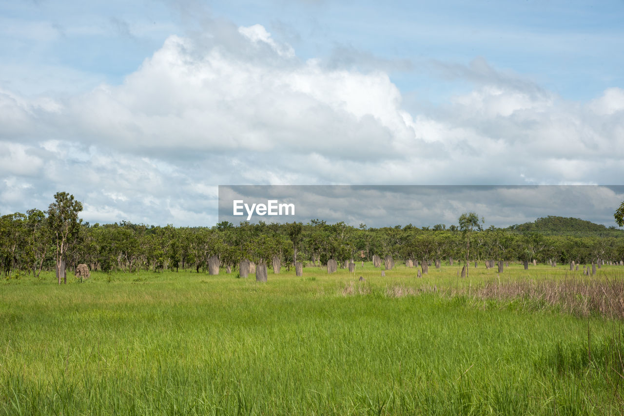 SCENIC VIEW OF FARMS AGAINST SKY