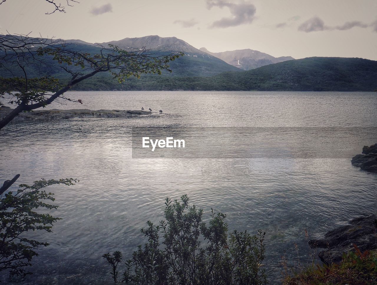 Scenic view of lake and mountains