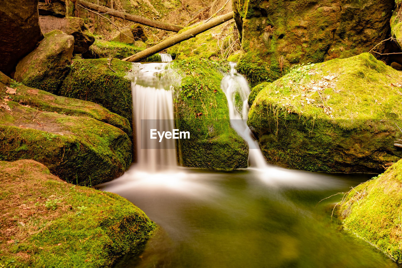 Nature rainforest river cascade. natural environment. forest nature. brook in pure nature.