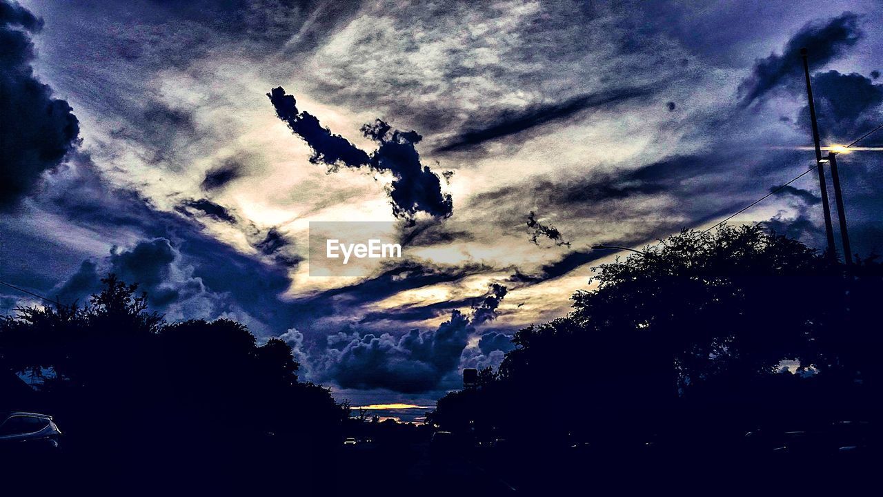 LOW ANGLE VIEW OF TREE AGAINST SKY