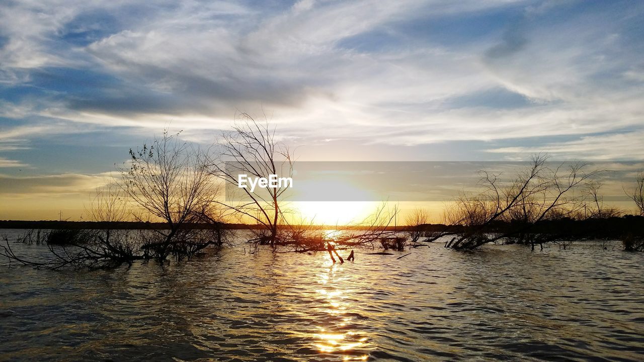 SILHOUETTE BIRDS ON LAKE AGAINST SKY DURING SUNSET