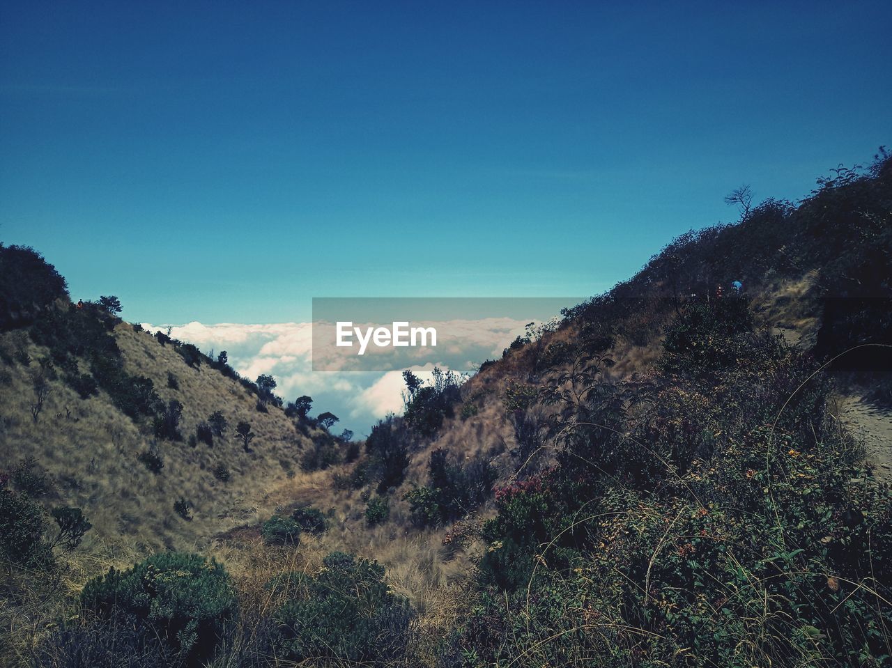 Scenic view of landscape against blue sky