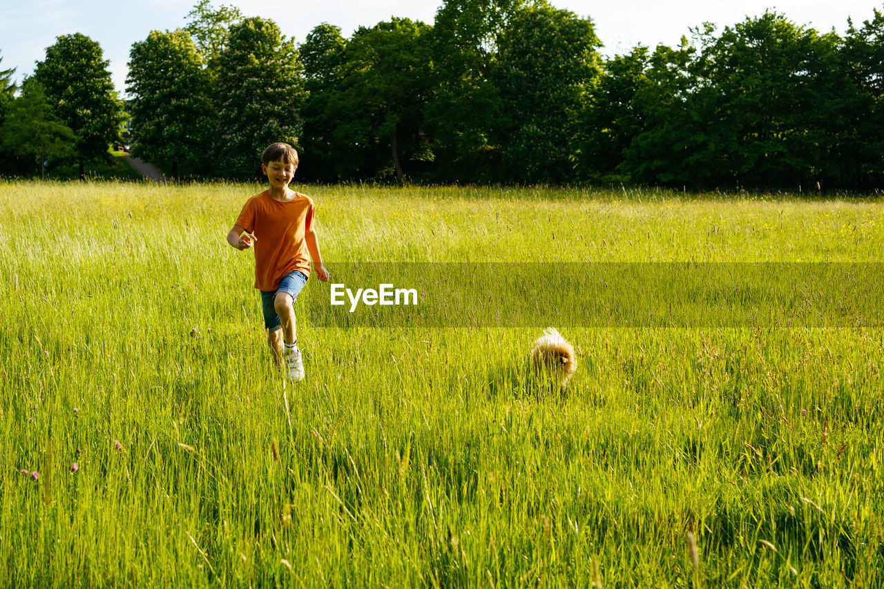 A boy runs through a summer field with small pomeranian dog