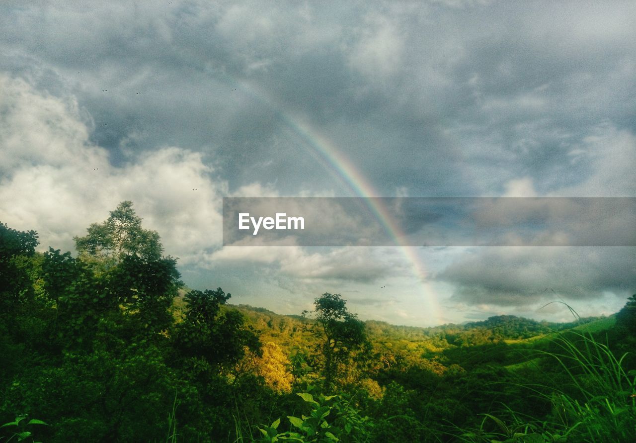 SCENIC VIEW OF RAINBOW AGAINST SKY