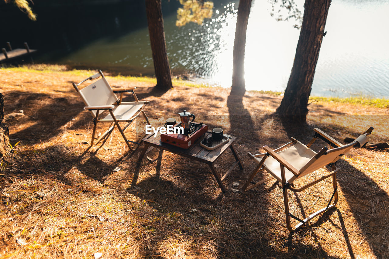 nature, sunlight, seat, tree, land, chair, shadow, plant, no people, day, tree trunk, trunk, absence, soil, outdoors, table, furniture, wilderness, tranquility, beach, field, landscape, environment