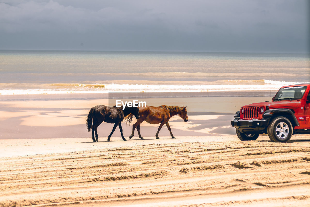 HORSE CART ON BEACH AGAINST SKY