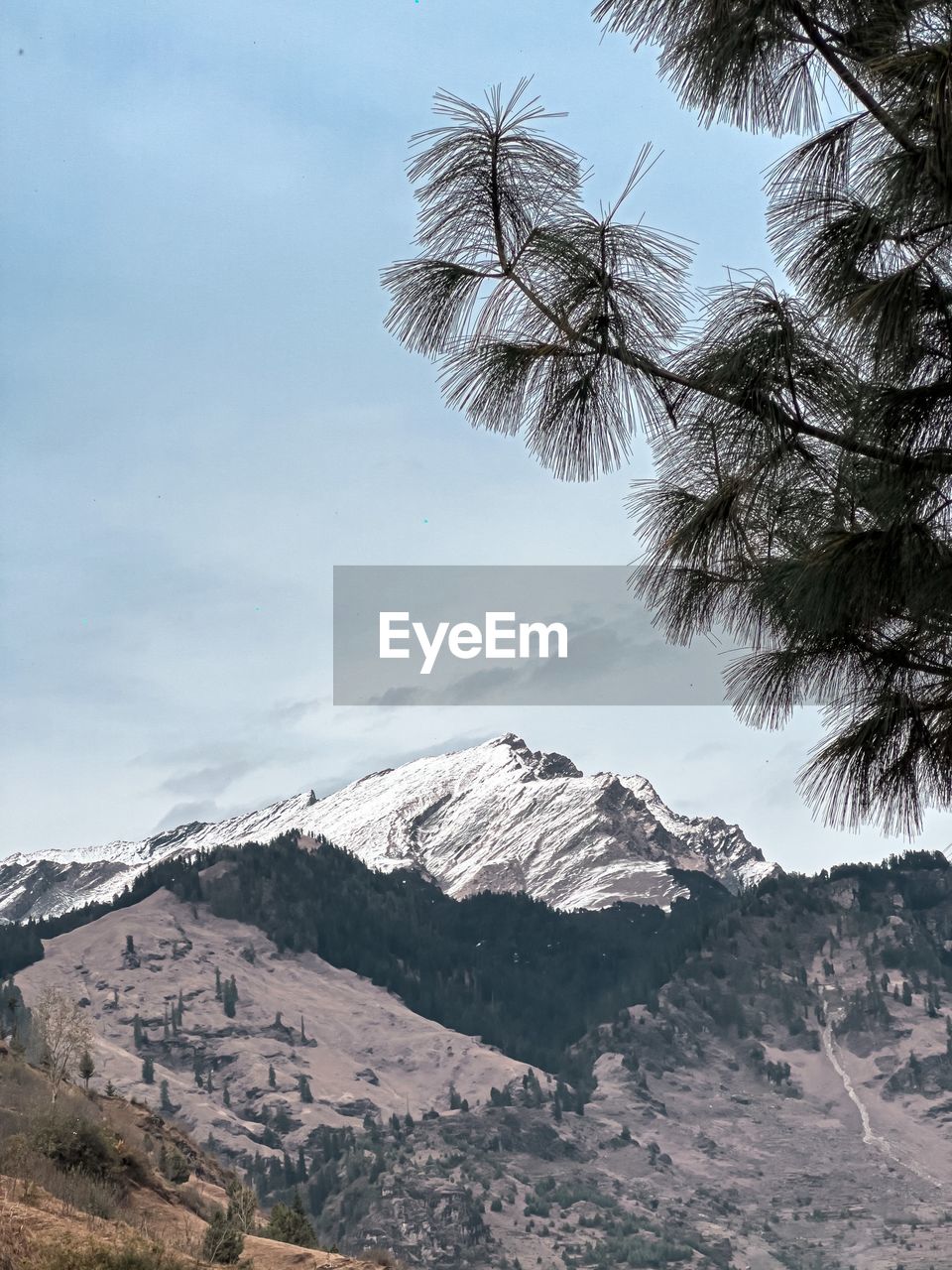 mountain, snow, tree, sky, scenics - nature, environment, beauty in nature, nature, winter, landscape, mountain range, plant, cold temperature, travel destinations, coniferous tree, pinaceae, no people, cloud, land, travel, tranquility, snowcapped mountain, pine tree, outdoors, tranquil scene, tourism, non-urban scene, day, palm tree, tropical climate, mountain peak, pine woodland, idyllic, vacation, trip