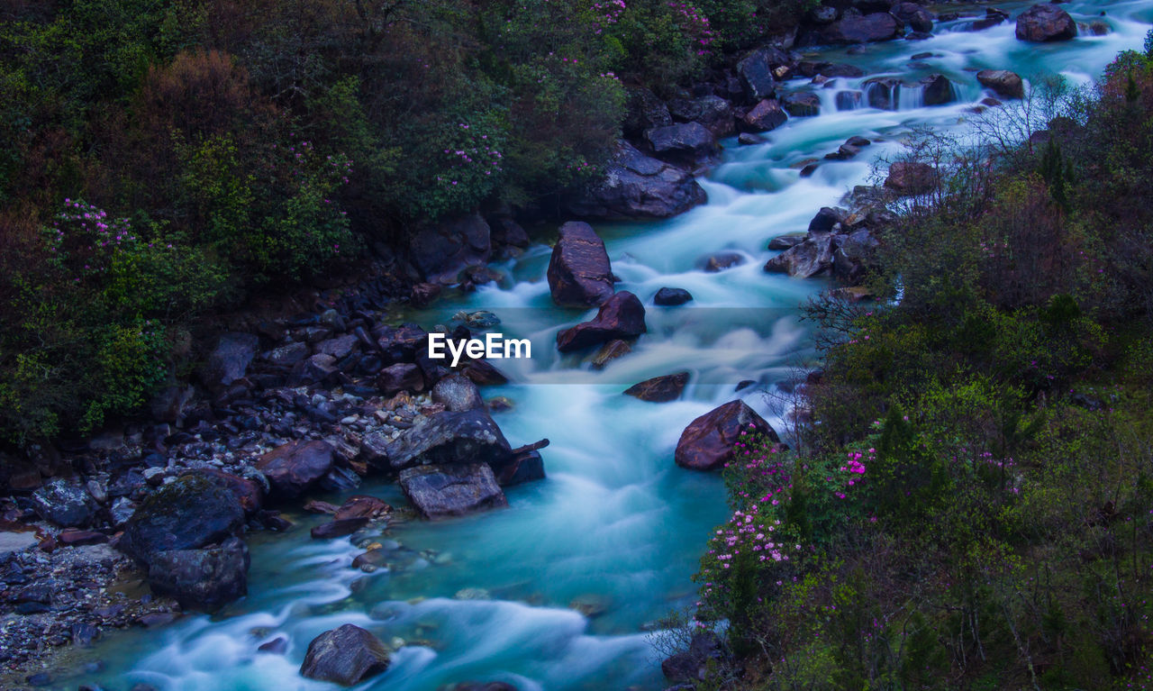 Scenic view of waterfall in forest