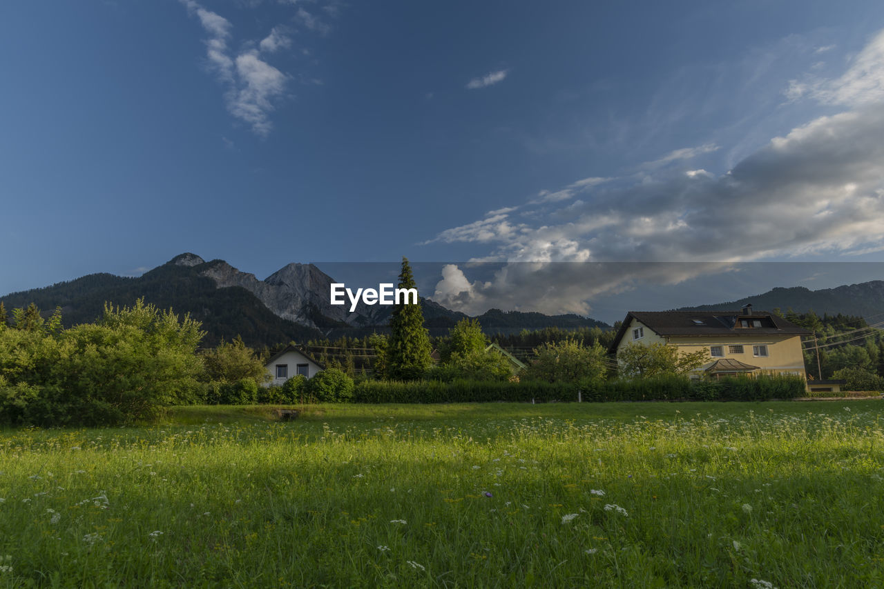 SCENIC VIEW OF FIELD AGAINST MOUNTAINS