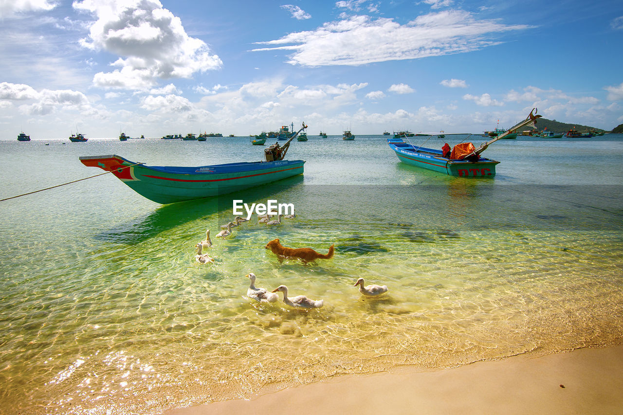 Boats in sea against sky