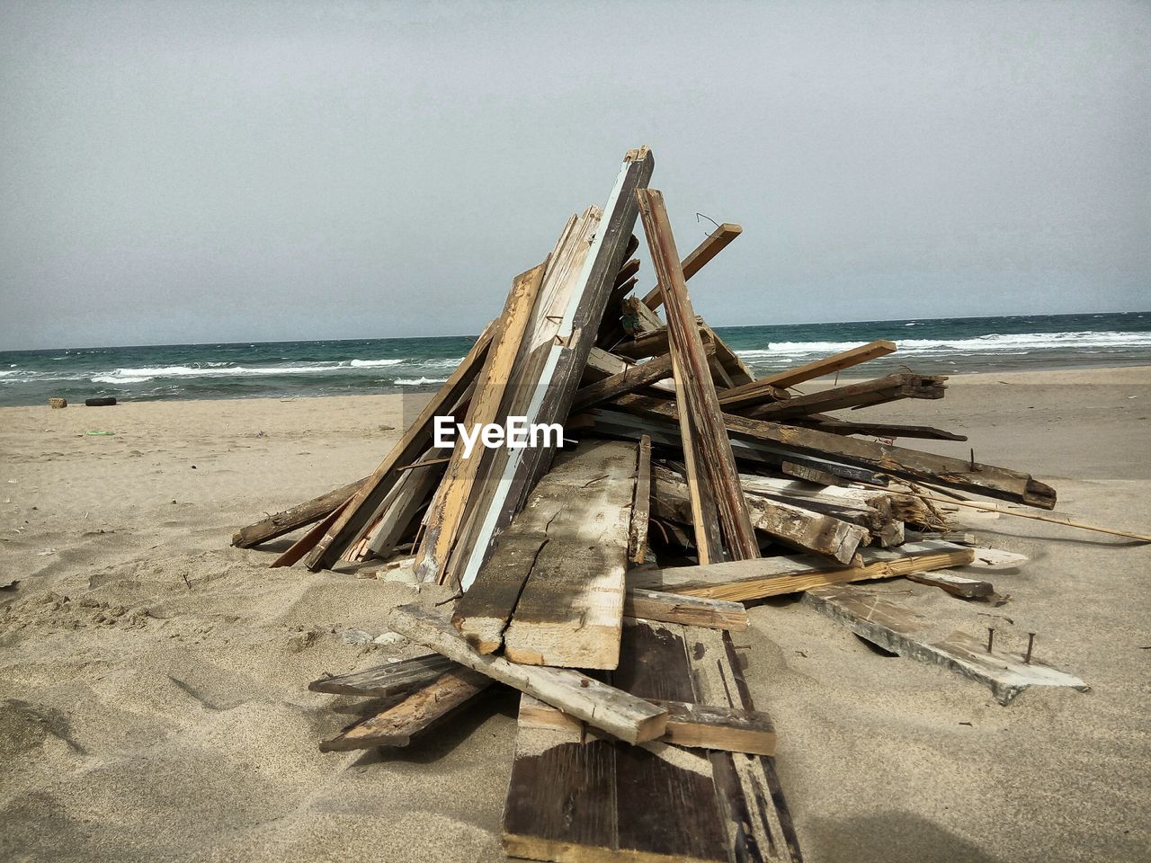 DRIFTWOOD ON BEACH