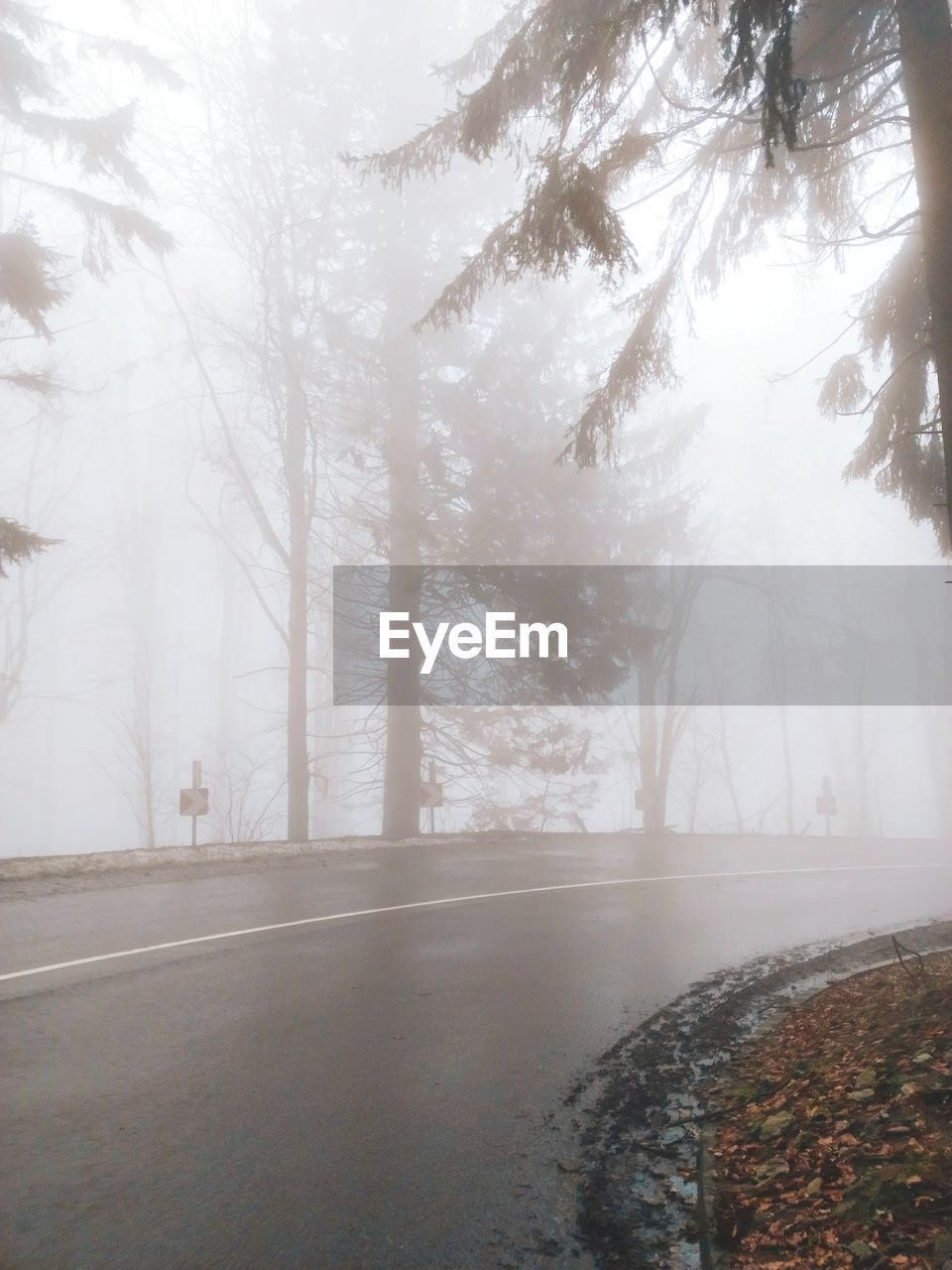 tree, fog, morning, plant, nature, mist, winter, snow, environment, forest, beauty in nature, freezing, cold temperature, land, tranquility, scenics - nature, no people, landscape, water, tranquil scene, sunlight, frost, autumn, outdoors, haze, day, non-urban scene, wet, sky, woodland, travel, road, travel destinations, tree trunk, branch, idyllic