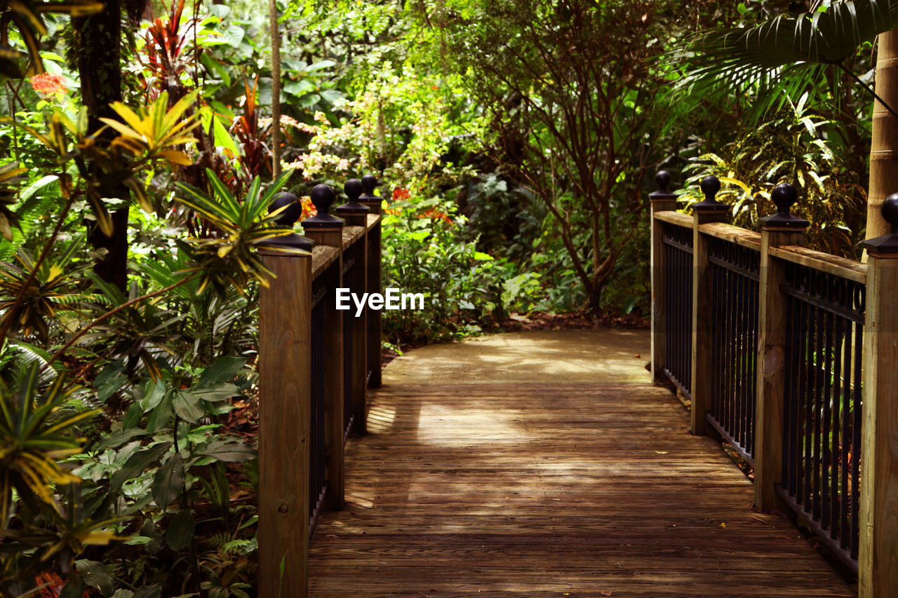 Plants by railing against trees