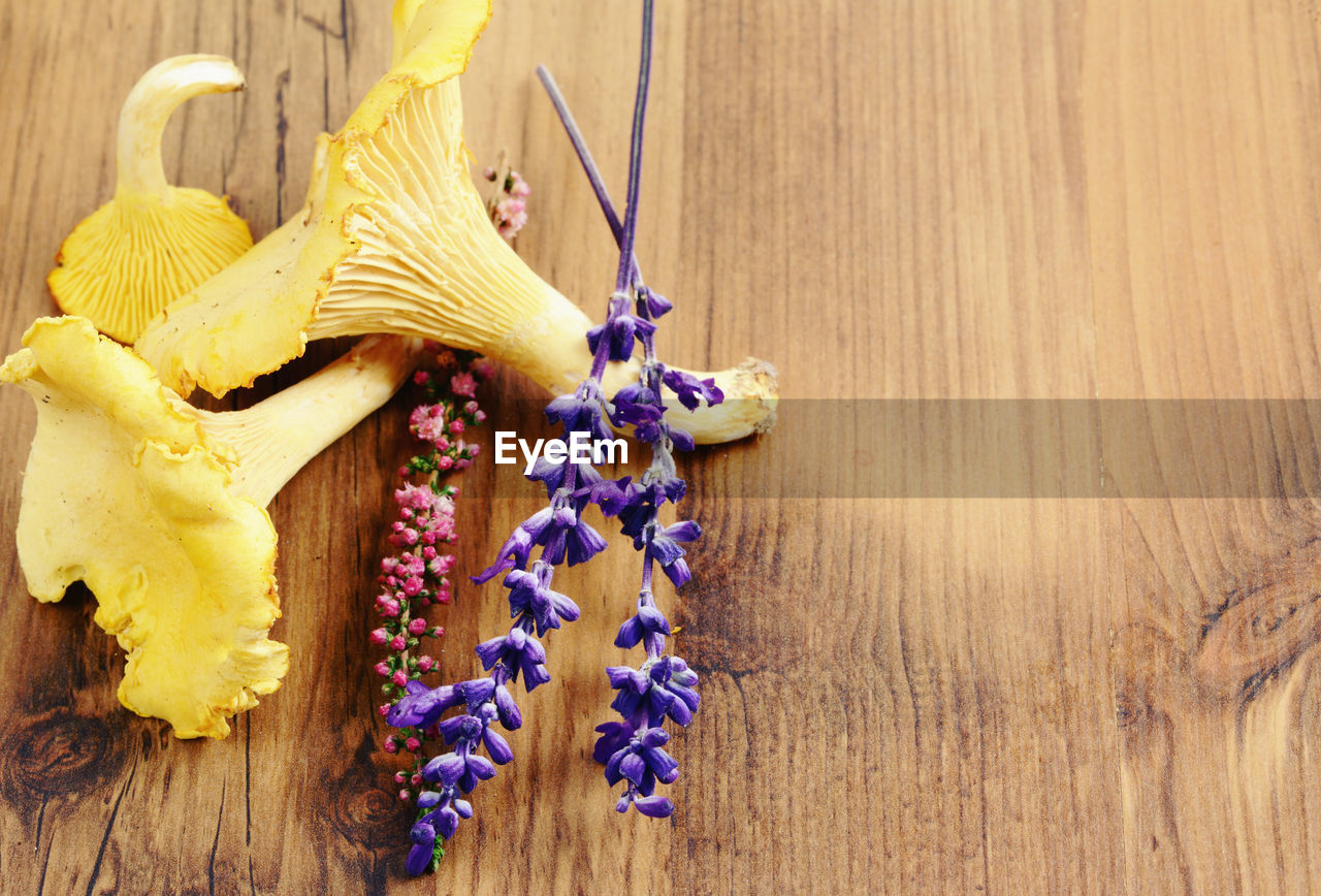 Close-up of mushrooms on table