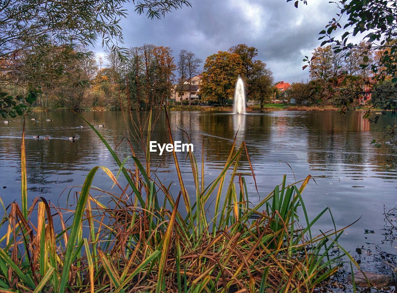 View of fountain in lake