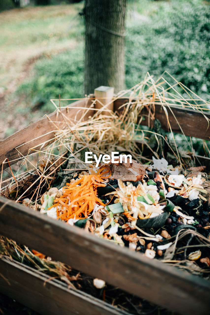 High angle view of compost outdoors