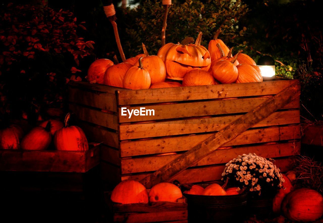 Fresh organic pumpkins in wooden container