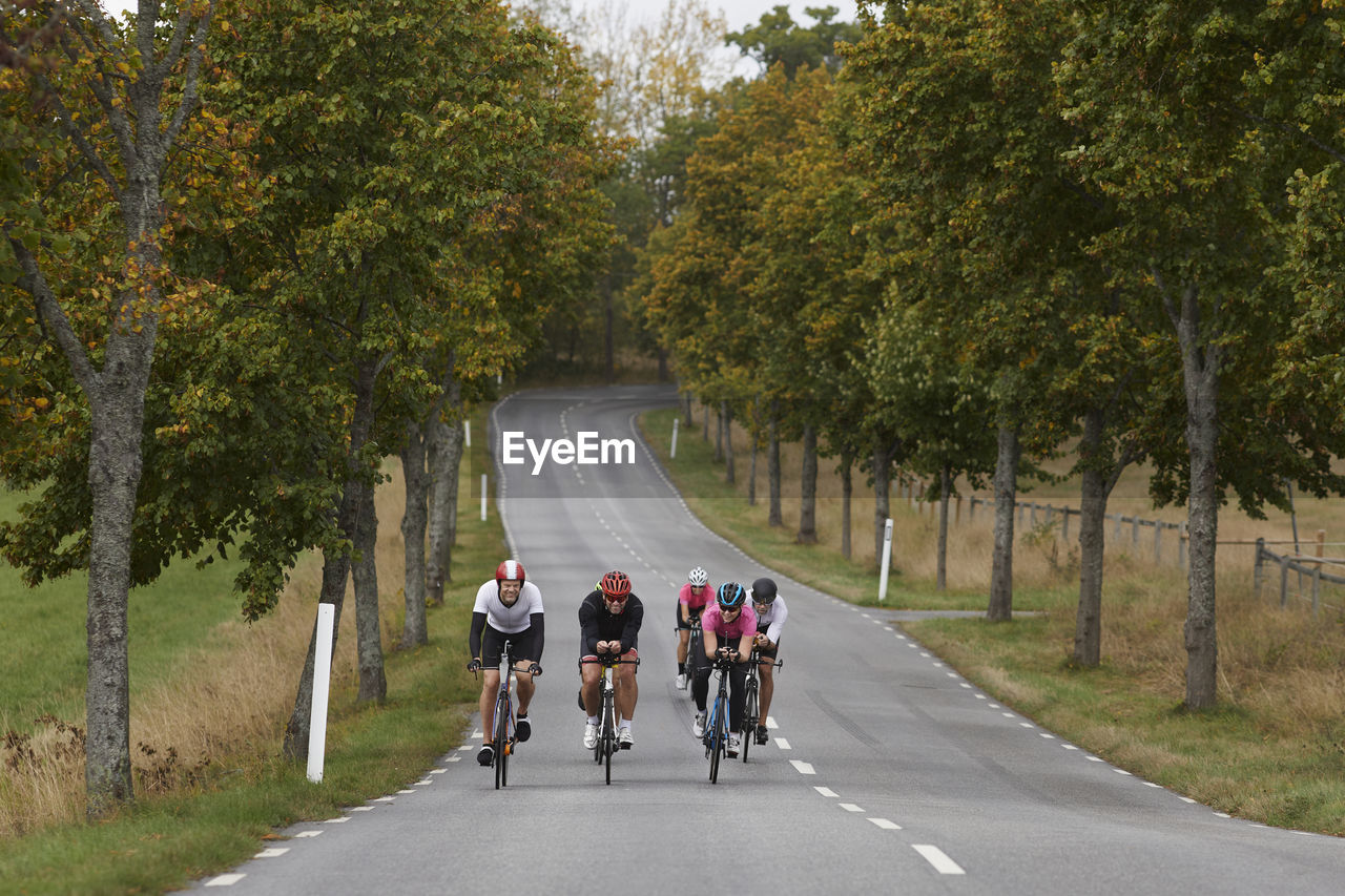 Cyclists on country road