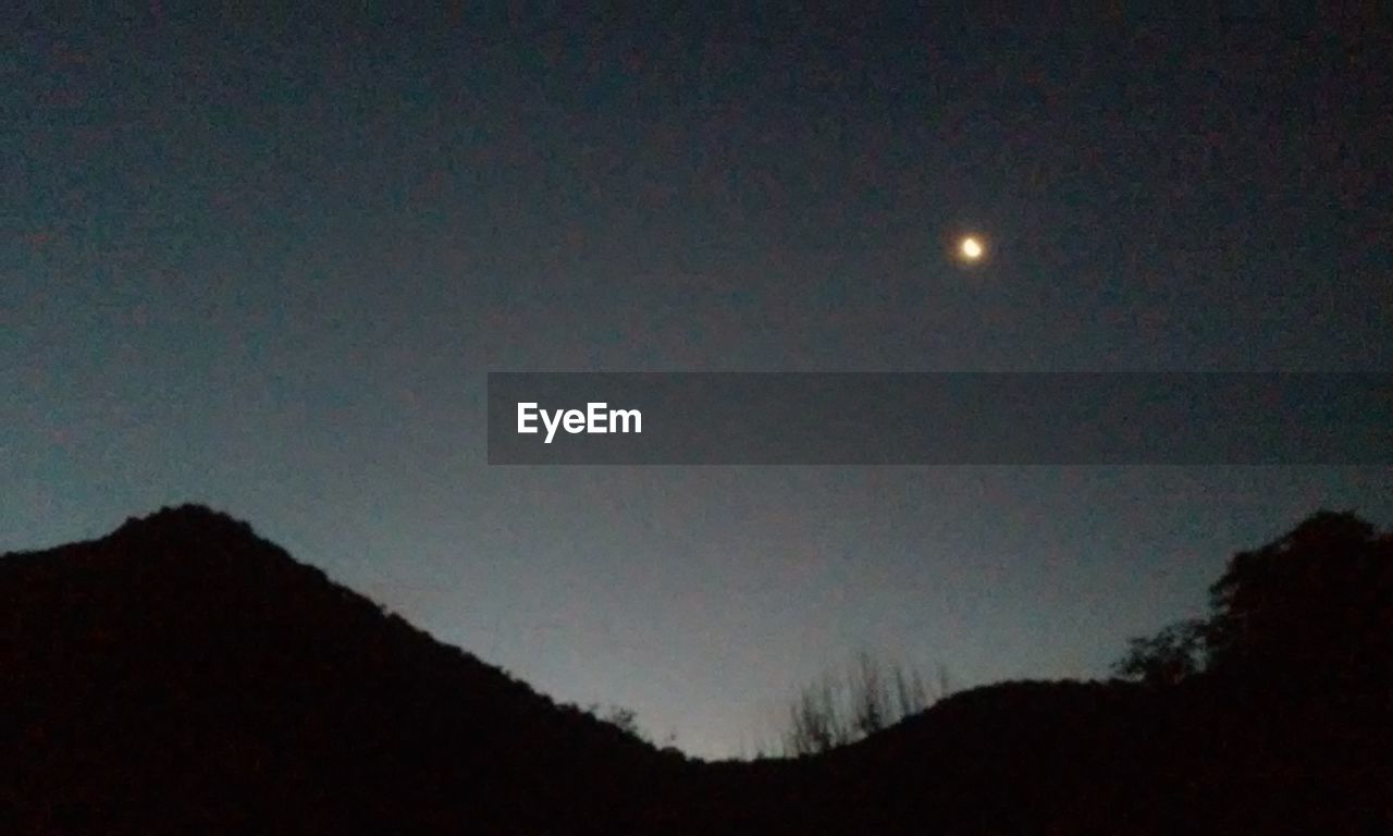 LOW ANGLE VIEW OF SILHOUETTE TREES AGAINST MOON AT NIGHT