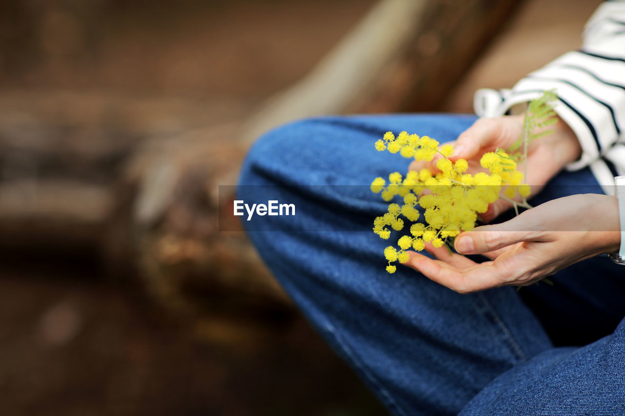 cropped hand of woman holding flower