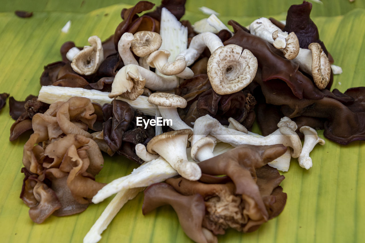 HIGH ANGLE VIEW OF MUSHROOMS ON WOODEN FLOOR