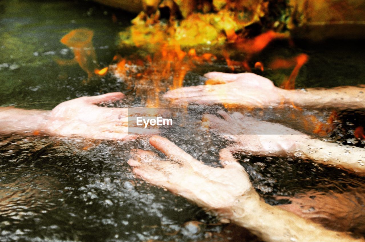 Cropped hands in river