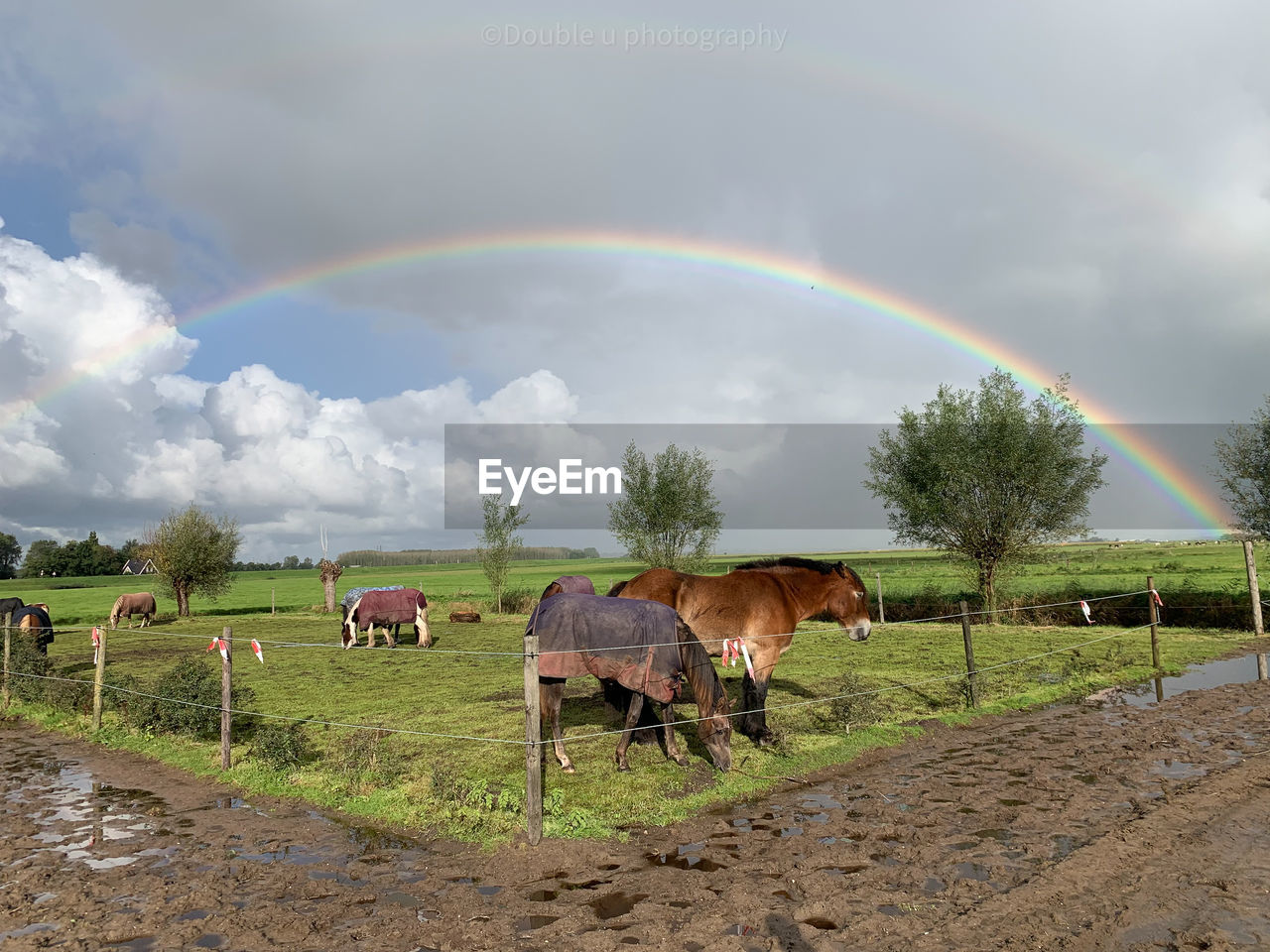 SCENIC VIEW OF RAINBOW OVER FARM