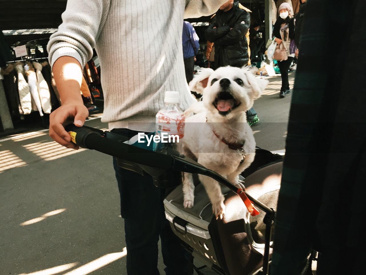 Cropped man holding dog on carriage while standing at market